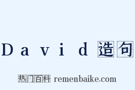 David造句是什么意思的图片